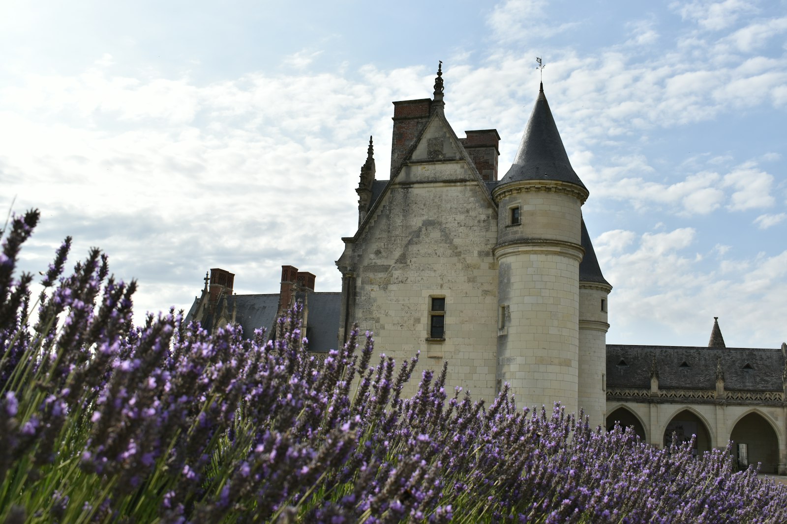 A chateau and its gardens in the Loire Valley